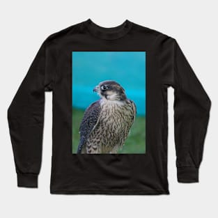 Saker Falcon Long Sleeve T-Shirt